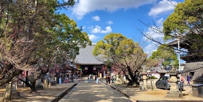 活動の数々をご紹介します！ 2023年3月15日