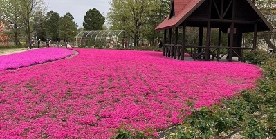 活動の数々をご紹介します！ 2023年4月5日