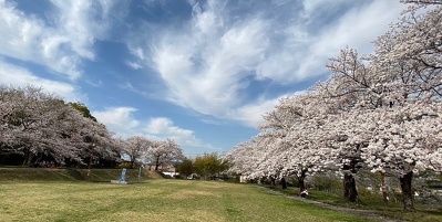 活動の数々をご紹介します！ 2023年3月31日