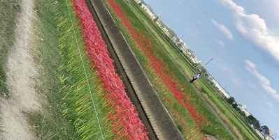 活動の数々をご紹介します！ 2023年9月23日